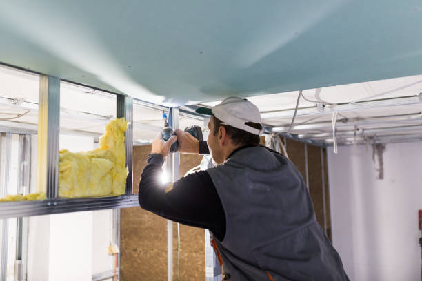 Types of Insulation We Offer in Gainesville, TX