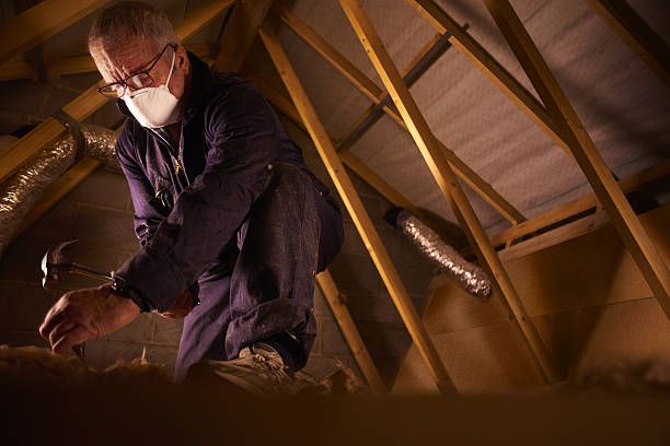 Best Eco-Friendly Insulation in Gainesville, TX